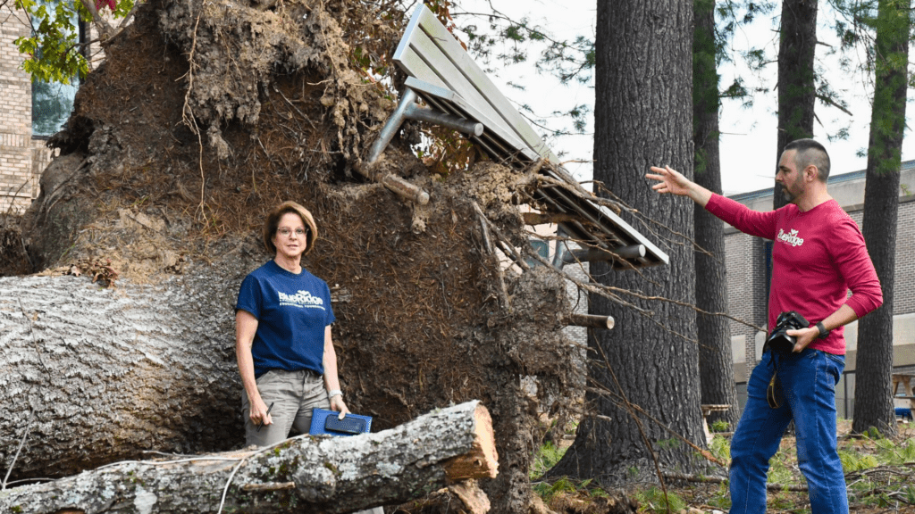 person standing by tree fallen